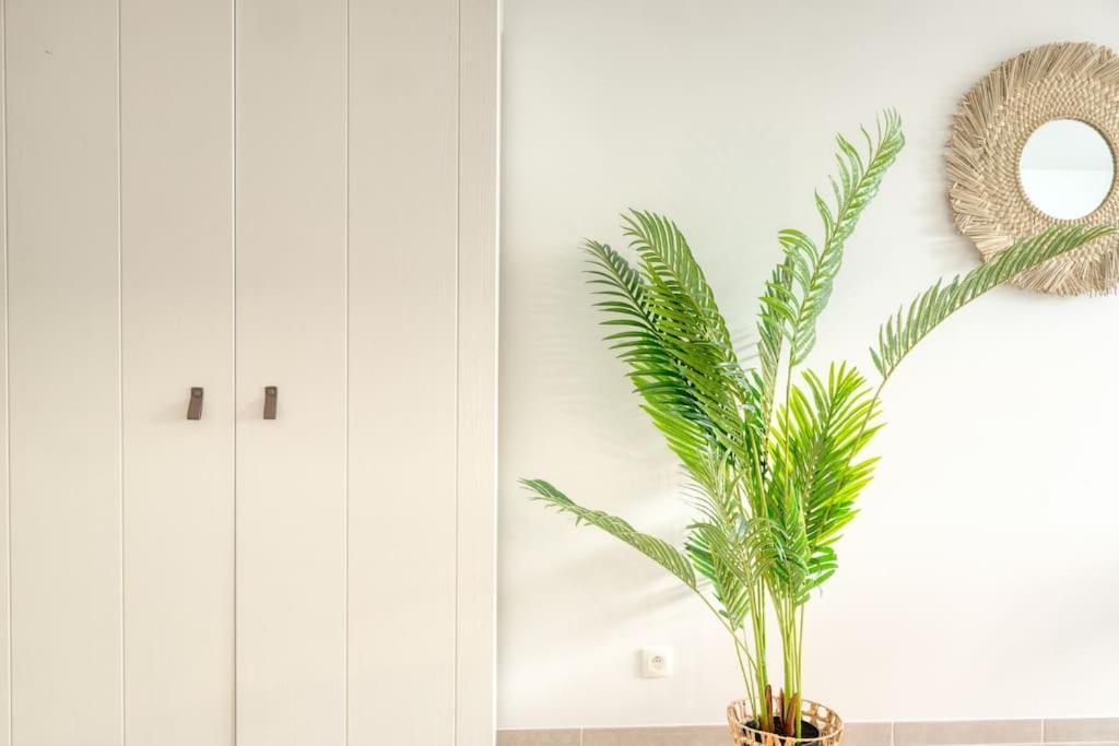 Family-friendly Beachside Retreat For 5 In Ostend
